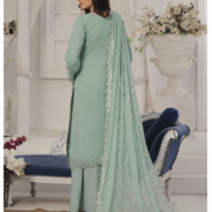 Pakistani Dress - WA008