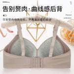 Locket Premium Padded Seamless Push-Up Bra