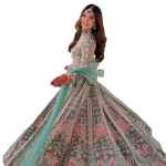 Latest Pakistani Ethnic Style Net Acetate Bridal Lehenga Choli Indian Women's Party Wedding Dress